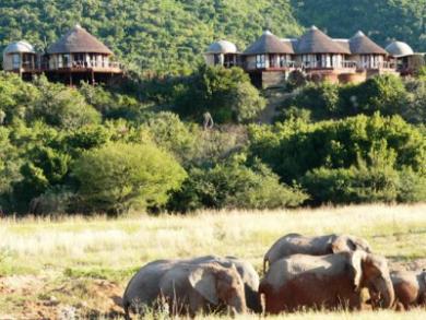 Nguni River Lodge Port Elizabeth Exterior photo