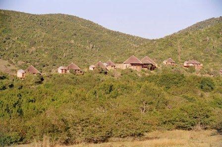 Nguni River Lodge Port Elizabeth Exterior photo